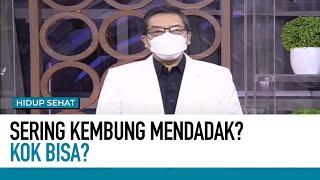 Bongkar Rahasia Penyebab Perut Kembung yang Jadi Pertanda Penyakit Serius | Fakta atau Mitos