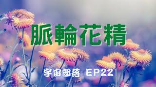 宇宙部落 EP22 - 脈輪花精