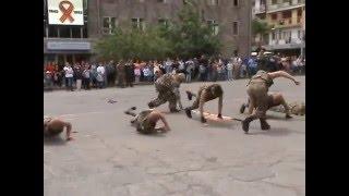 Haykakan banak-Armenian Army 2