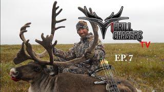 Alaskan CARIBOU~ 400 yard Belly Crawl Thrill Chasers TV Episode 7