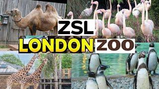 ZSL London Zoo  | Zoological Society of London | United Kingdom