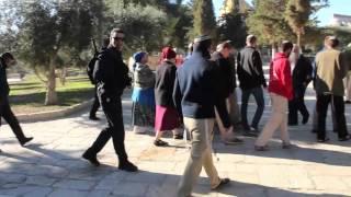 القدس - اقتحامات الأقصى استفزاز لمشاعر المسلمين