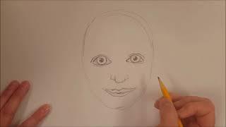Proportions of the Face