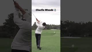 Charlie Woods’ swing is PURE 