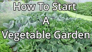 How To Prepare A Vegetable Plot