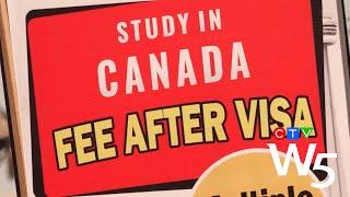 Cash Cows: Foreign student recruitment crisis at Canadian universities | W5 INVESTIGATION