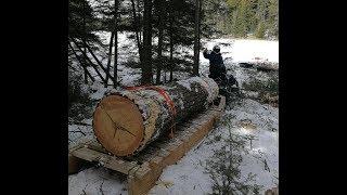 Sleighs and Komatiks: Hauling Heavy Loads in the Snow!