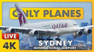  LIVE @ SYDNEY Airport SYD / YSSY | Plane Spotting with James & Matty + ATC ️