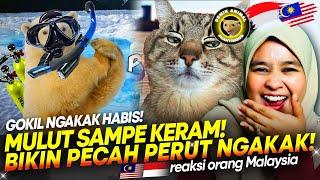  NGAKAK SAMPE NANGIS AKU NONTON INI!! Reaction Demik Animal ||  REACTION