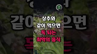 상추와 같이 먹으면 절대 안되는 최악의 음식 3가지 #건강정보 #건강지식