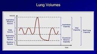 Pulmonary Function Tests (PFT): Lesson 1 - An Introduction