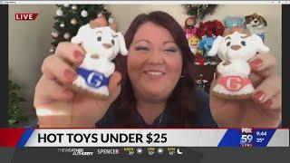 Toy expert shows top toys under $25