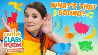 What's That Sound? | Caitie's Classroom Sing-Along Show! | Fun Listening Songs For Kids!