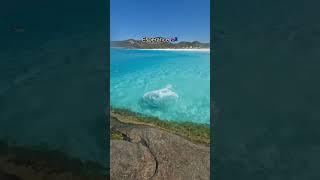 Most Beautiful Places in Australia  | #shorts #travel #explore #nature #viral #adventure