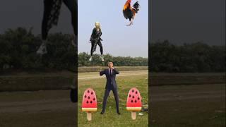 Flying crying babies catching vs dog, hen & part 2 - Funny vfx magic #shost
