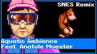 "Aquatic Ambience" from Donkey Kong Country BUTTON MASHER COVER (feat. Anatole Muster)