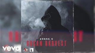 Shane e - Organ Harvest | Official Audio