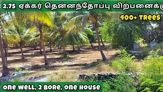 2.75 Acre Coconut Farm with House for sale @Salem2.75 ஏக்கர் தென்னந்தோப்பு விற்பனைக்கு