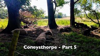 Coneysthorpe North Yorkshire Stage 5 | Join Us Senior Hiking -  Walk & Chat -  English Countryside