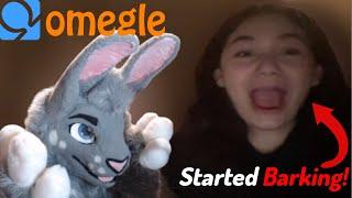 Fursuiter Goes on Omegle!