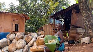 African Village Life : #cooking  Cooking Oyster Nuts (Kulekula) For Lunch  #villagelife