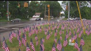 Too Patriotic? Town Tells Business It Has Too Many Flags On Display