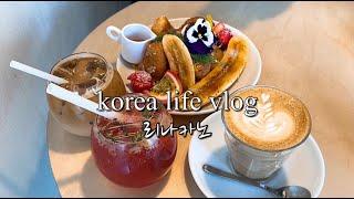 My daily life in Korea | 외국인 유학생 일상 | 시험준비, 생일파티, 부산 데일리 일상, 부경대학교  中間テストの準備, 韓国の生活と誕生日パーティー