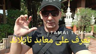 (4k) معابد تايلاند tamai temple #السياحة_في_تايلاند