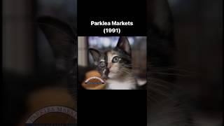 A musical number for Sydney’s famous Parklea Markets, 1991 #market #musical #funny #australia #cat