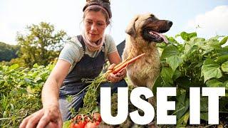 OK I Grew Stuff, Now What??  | 10 Tips to USE and PRESERVE Your Garden Produce