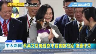 20181219中天新聞　宜蘭海邊驚見豬屍　初步排除感染非洲豬瘟