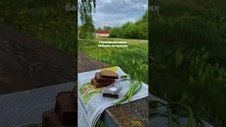 Наше детство #деревня #детство #ностальгия
