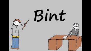 Samenvatting Bint (De Alphaman)