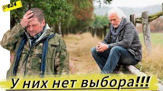 3 главные причины почему в деревне избавляются от коров и свиней. Проблемы животноводства в деревне.