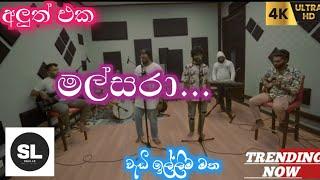 Malsara ( මල්සරා ) අලුත් එක New Sinhala Songs trending now #public