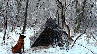 3 days snowstorm tented bushcraft camp with my dog  camp food