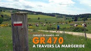 Randonnée Lozère | GR470 : A travers la Margeride [Carnets de Rando #99]