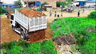 New Project!5T Dump Truck Filling land Flooded Area Develop House,Bulldozer D31A Pushing Soil,Trash