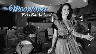 'Fools Fall In Love' THE MOONTONES (Viva Las Vegas) BOPFLIX sessions