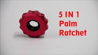 WT PROTOOLS CO , LTD - 5 IN 1 Palm ratchet