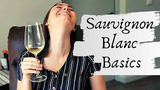 SAUVIGNON BLANC WINE: What is Sauvignon Blanc? Basic introduction to the regions & characteristics.
