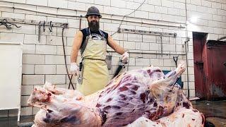 How To Skin A Bison | ULTIMATE Knife skills | The Bearded Butchers!