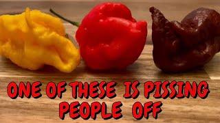 OPINION PIECE! 3 GREAT PODS! NO FLUKE!  WARTHOG IS THE HOTTEST PUBLICALLY AVAILABLE PEPPER ON EARTH