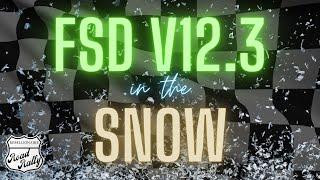 FSD V12.3 in The Snow!