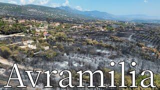 Avramilia, Kavala, Greece after Nestos Fire - by drone [4K]. #wildfire