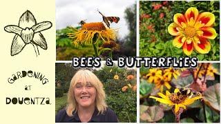 Plants to Attract Bees & Butterflies to your Garden || Quick & Easy Guide