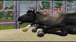 Sims 3 Horse Story - Where are you?