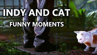 Indiana Jones and the Cat - Funny Moments