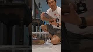 Bought 18 pcs Acrylic Shoe Box : Organizing my daily drivers
