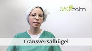 Transversalbügel - Was ist ein Transversalbügel? | Dental-Lexikon | 360°zahn